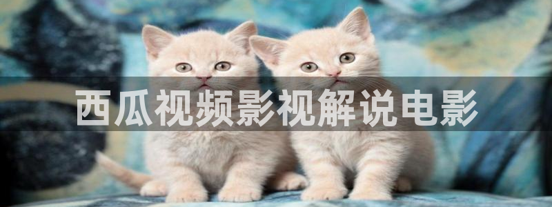 樱桃视频久久精品