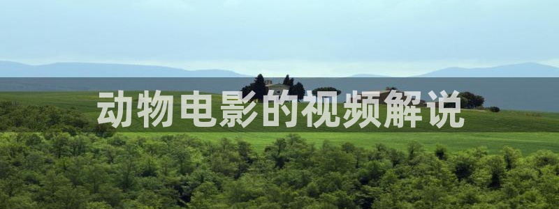 樱桃高清在线观看