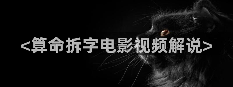 樱桃视频在线精品