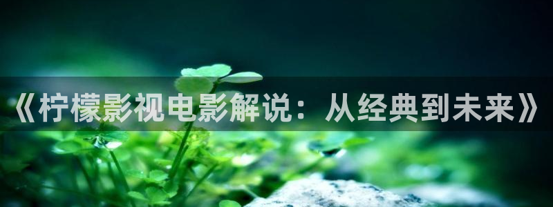 樱桃电视剧免费观看网站
