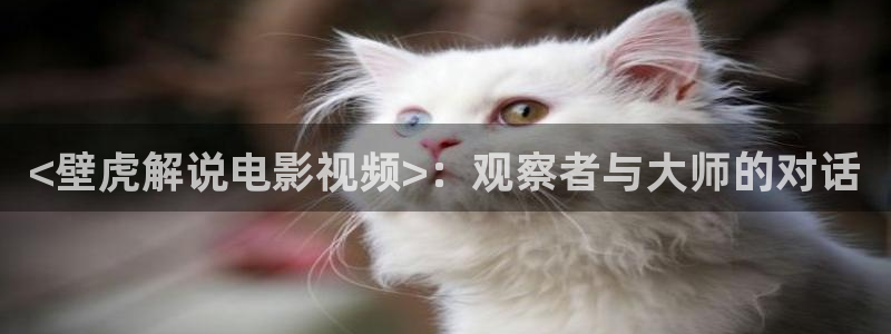 电视剧红樱桃全集播放