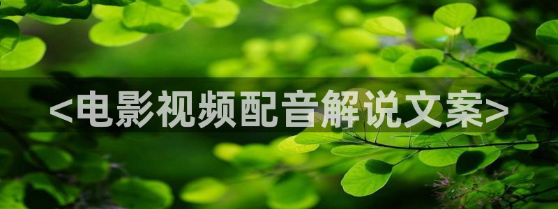 草莓樱桃向日葵视频
