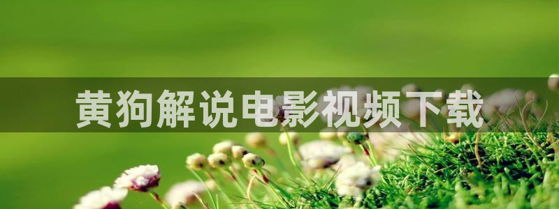 樱桃视频高清观看在线下载