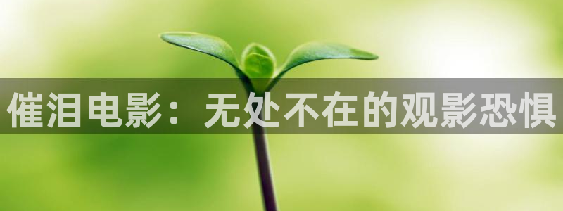 樱桃网站入口在线观看