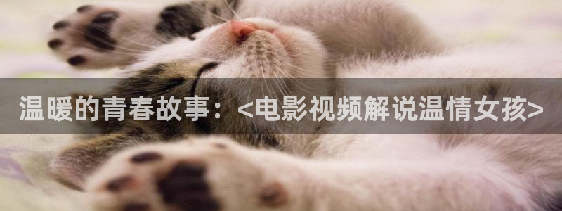 樱桃视频.18在线观看