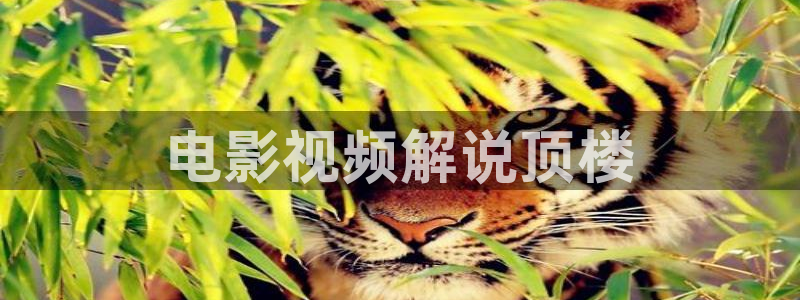 樱桃高清视频一二区