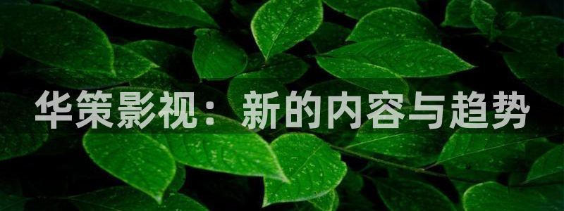 樱桃.apk
