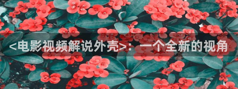 樱桃小视频入口
