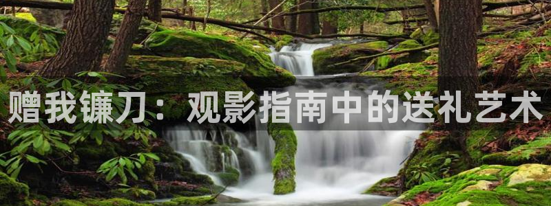 樱桃电视剧高清全集播放下载