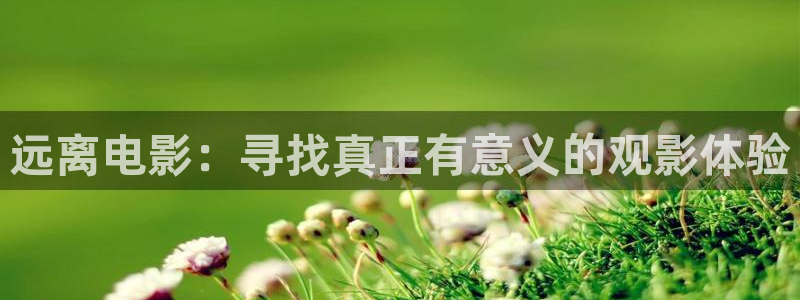 樱桃影院免费观看电视剧大全中文版